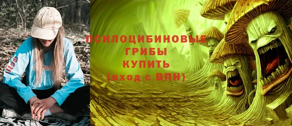 a pvp Володарск