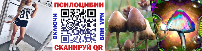 Галлюциногенные грибы Cubensis  где можно купить наркотик  Рошаль 